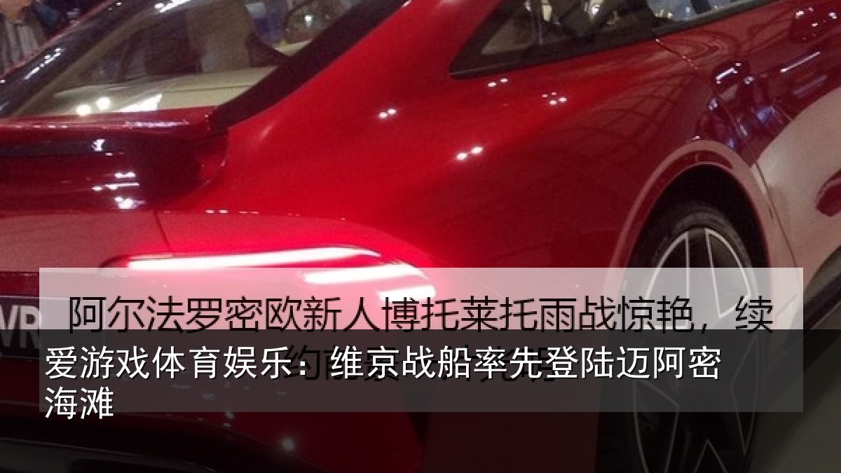 爱游戏体育娱乐：维京相关情况密海滩