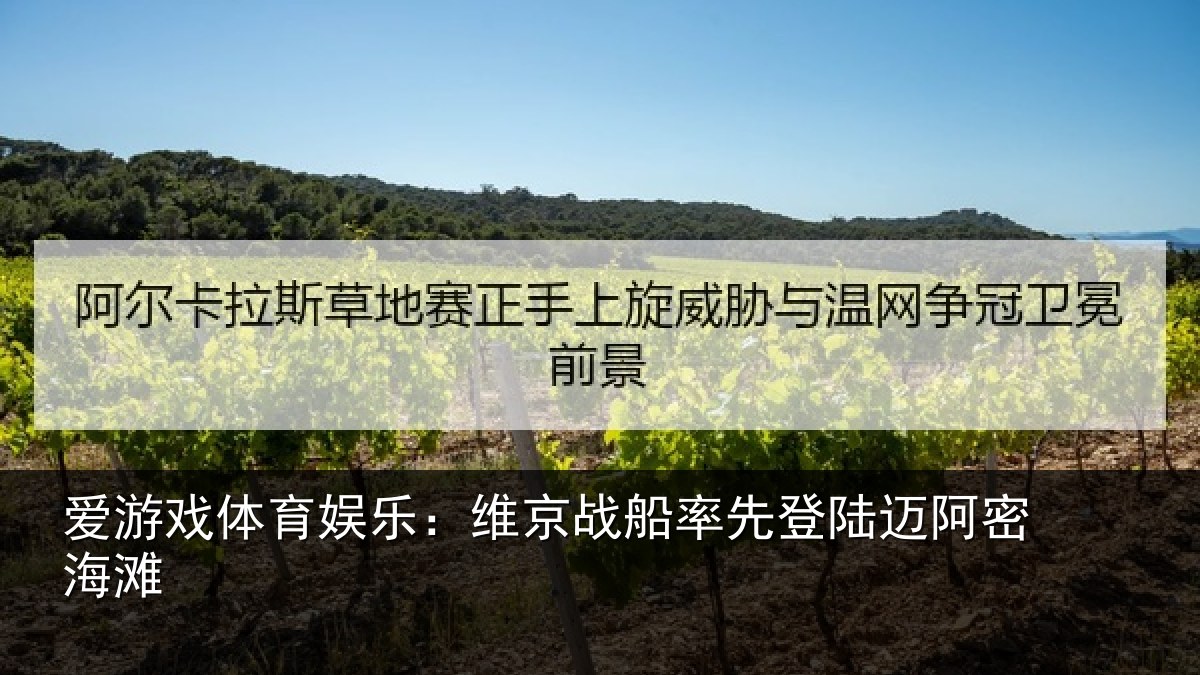 爱游戏体育娱乐：维京相关情况密海滩