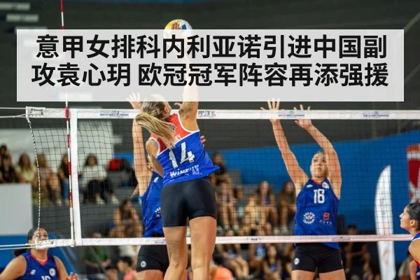 意甲女排科内利亚诺引进中国副攻袁心玥 欧冠冠军阵容再添强援
