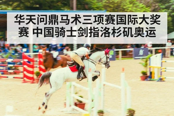 华天问鼎马术三项赛国际大奖赛 中国骑士剑指洛杉矶奥运